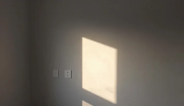 技术与服务团队的使用与维护建议