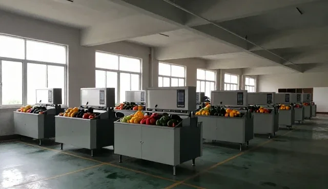 杭州全硕生物科技有限公司分析有机蔬菜加工包种植基地合作市场变化